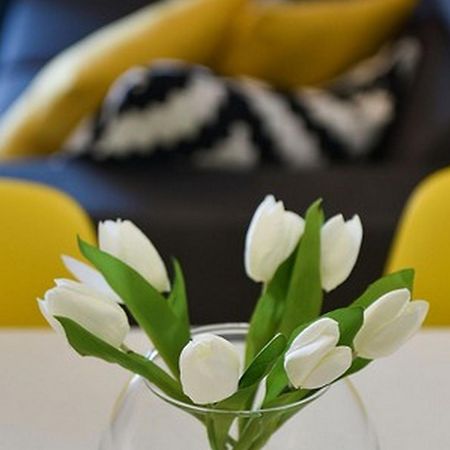 Mediterraneo Garden Apartments Petrčane Oda fotoğraf
