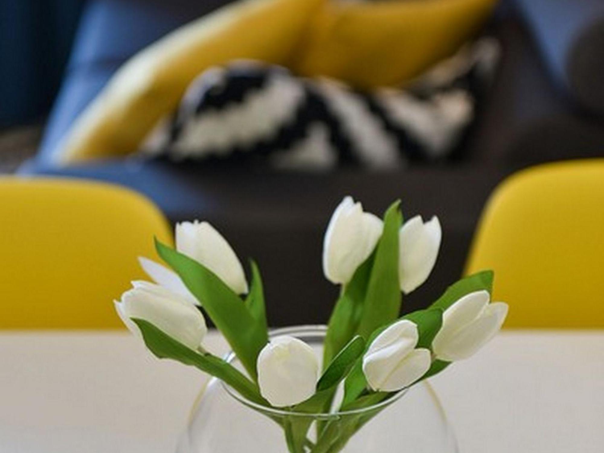 Mediterraneo Garden Apartments Petrčane Oda fotoğraf